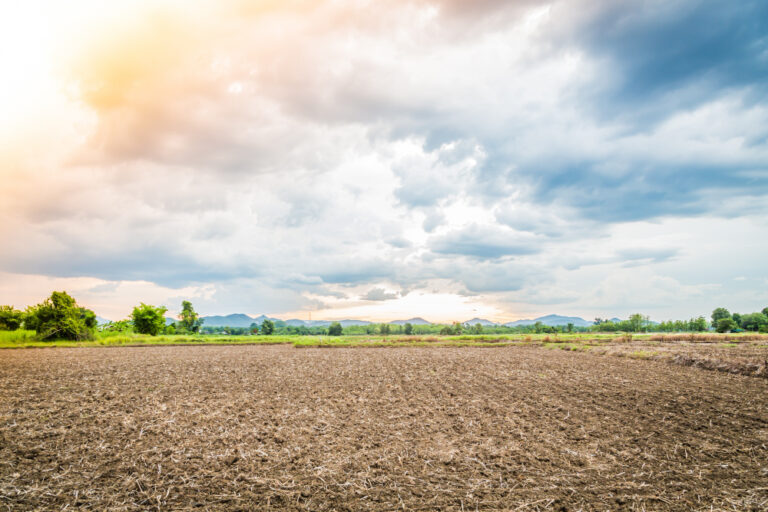 Positive Changes For Land Justice In Zambia Key Amendments In The Lands Tribunal Act Of 2024 (2)